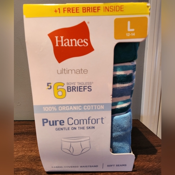 Hanes Boys' Tagless Briefs - Blue and White - Picture 1 of 3
